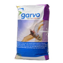 Garvo G-spirits groei